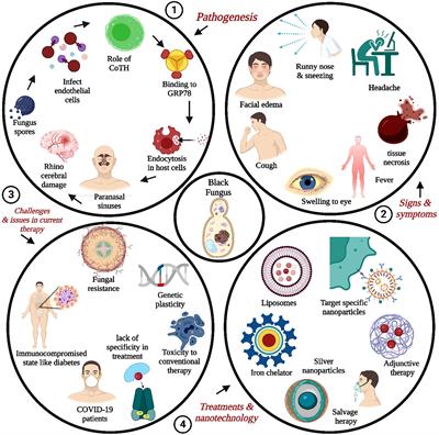 Virulence traits and novel drug delivery strategies for mucormycosis post-COVID-19: a comprehensive review